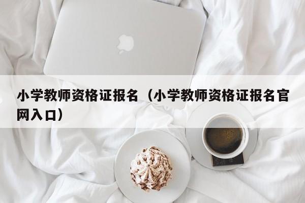 小学教师资格证报名（小学教师资格证报名官网入口）