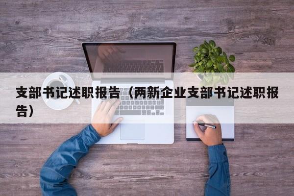 支部书记述职报告（两新企业支部书记述职报告）