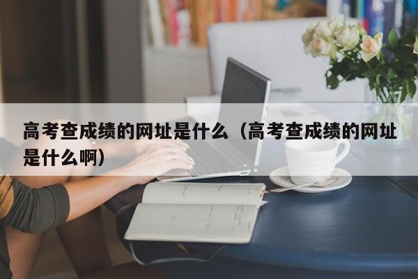 高考查成绩的网址是什么（高考查成绩的网址是什么啊）