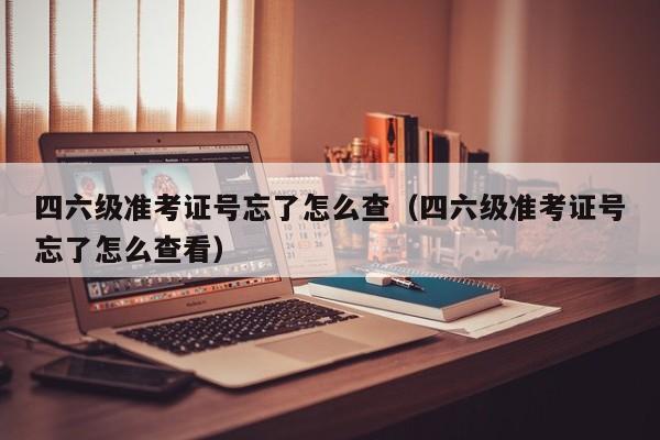 四六级准考证号忘了怎么查（四六级准考证号忘了怎么查看）