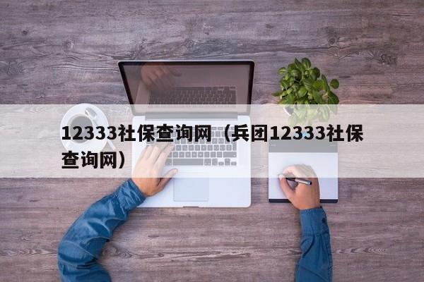 12333社保查询网（兵团12333社保查询网）