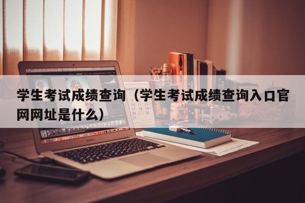 学生考试成绩查询（学生考试成绩查询入口官网网址是什么）