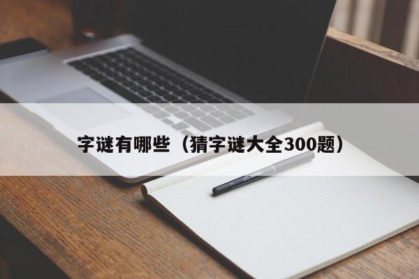 字谜有哪些（猜字谜大全300题）