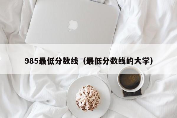 985最低分数线（最低分数线的大学）