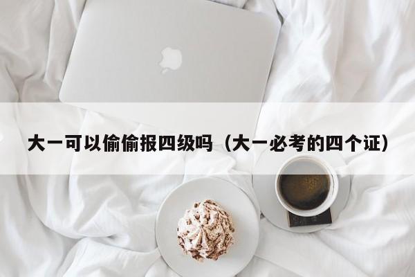 大一可以偷偷报四级吗（大一必考的四个证）