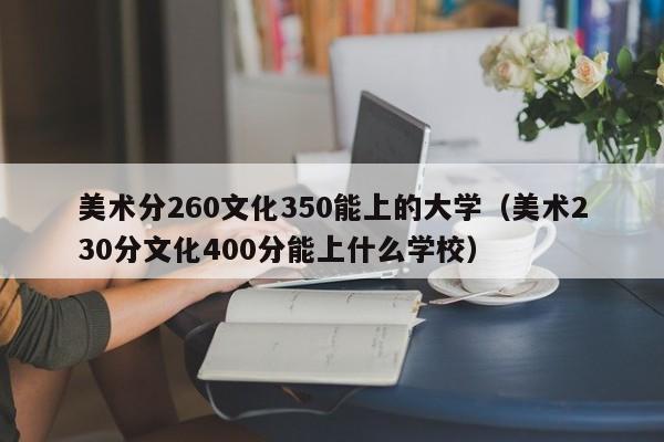 美术分260文化350能上的大学（美术230分文化400分能上什么学校）