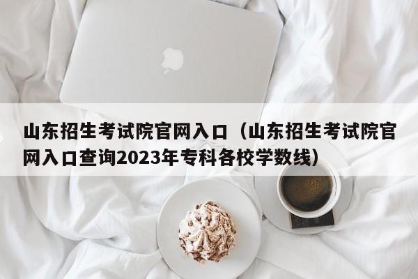 山东招生考试院官网入口（山东招生考试院官网入口查询2023年专科各校学数线）