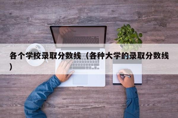 各个学校录取分数线（各种大学的录取分数线）